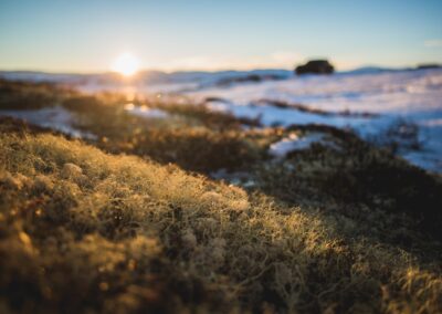 b96bff0e-8574-4917-89db-9f00f4f0a808